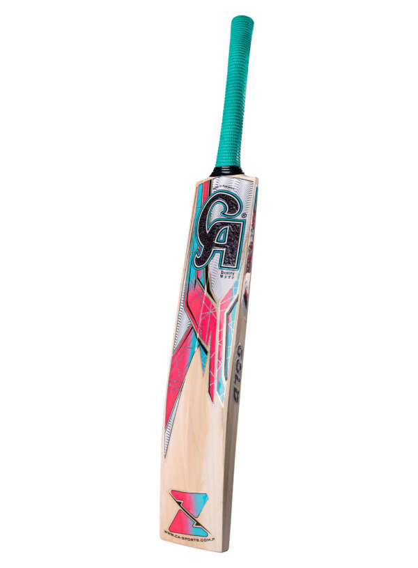 CA GOLD 3000 - Image 2
