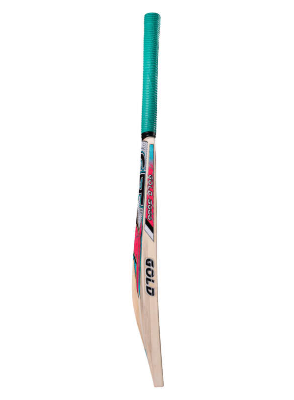 CA GOLD 3000 - Image 3