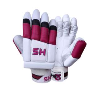 HS T20 Batting Gloves